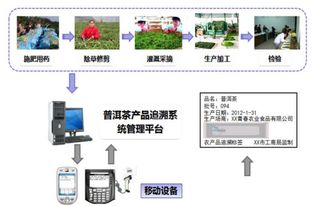 茶葉流通追溯系統 借助軟件開發塑造品牌價值